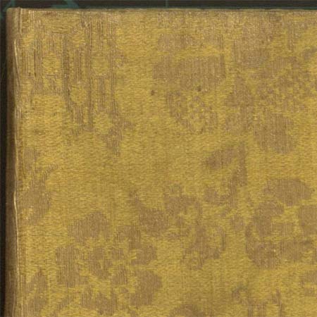 Geraubte Rarität im Seidenkleid Geraubte Rarität im Seidenkleid