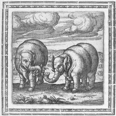 Der Physiologus aus der Bibliothek des Heinrich Rantzau Der Physiologus aus der Bibliothek des Heinrich Rantzau